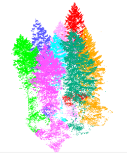 Segmented trees